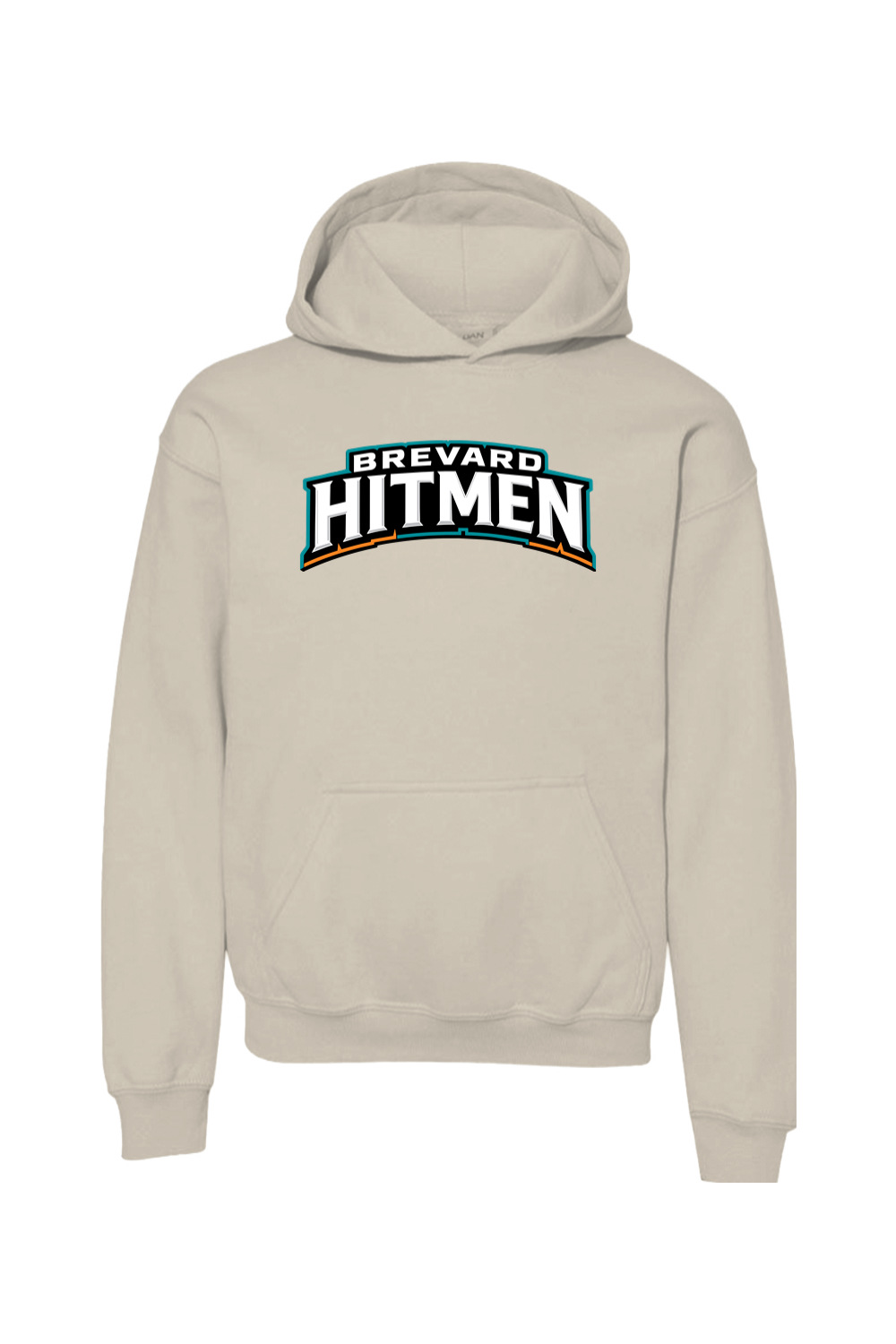 Brevard Hitmen DTF Youth Heavy Blend Hooded Sweatshirt