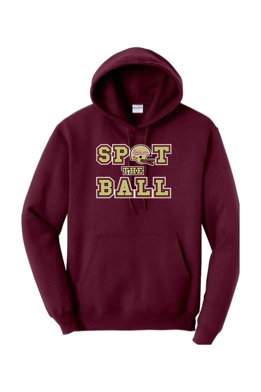 Brandywine Football DTF Heavy Blend Hooded Sweatshirt