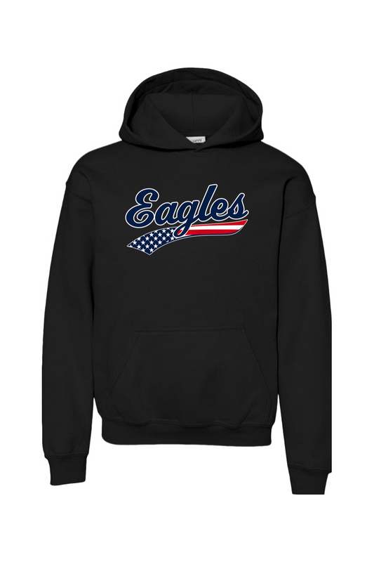 Watervliet Eagles Baseball DTF Youth Heavy Blend Hooded Sweatshirt