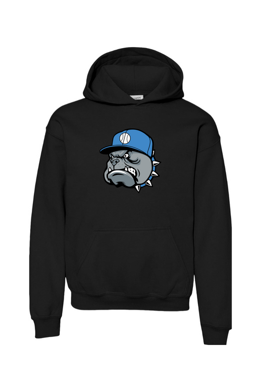 Central Florida Studs Youth Heavy Blend Hooded Sweatshirt