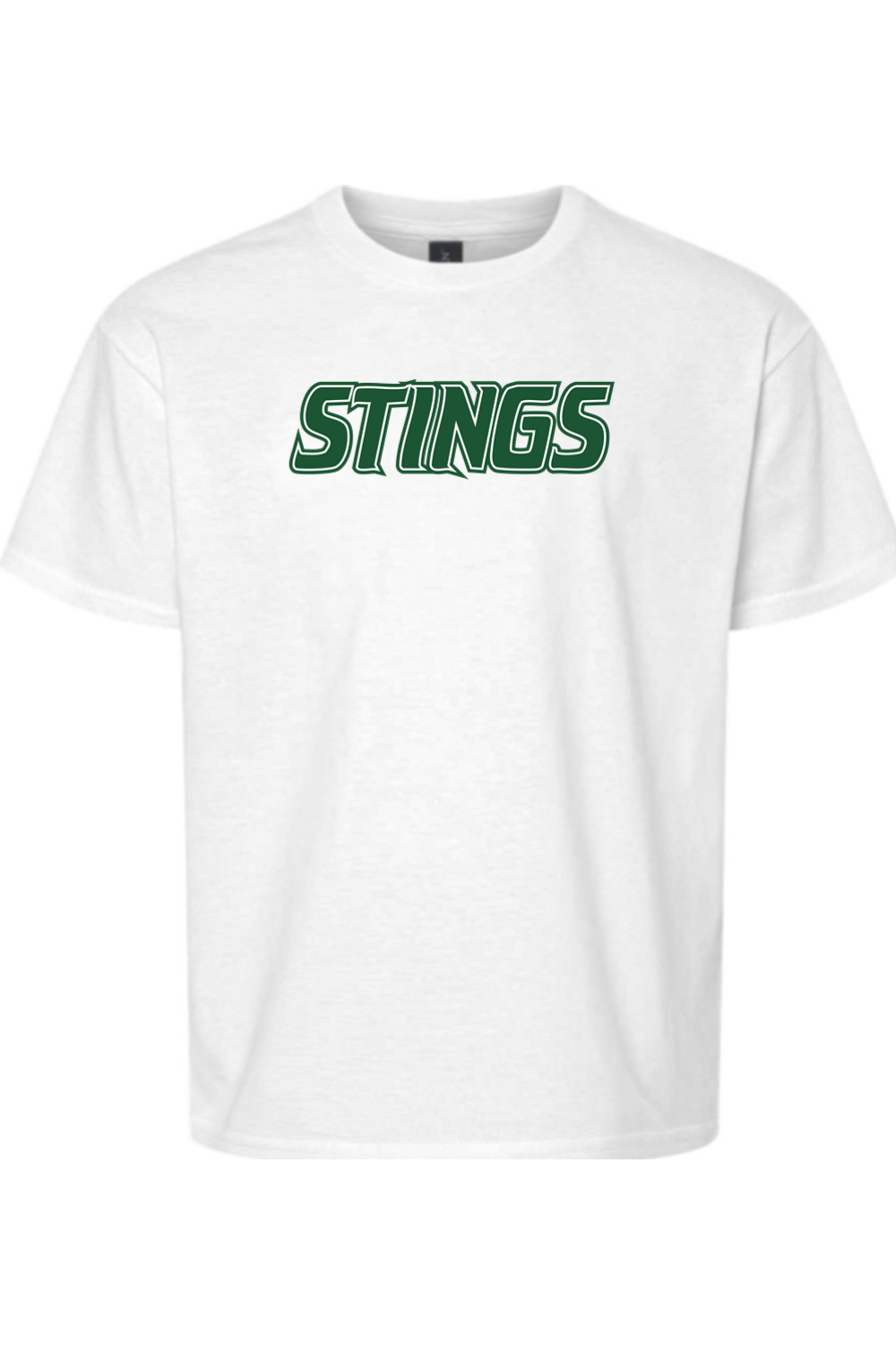 Williamston Softball Youth Softstyle T-Shirt