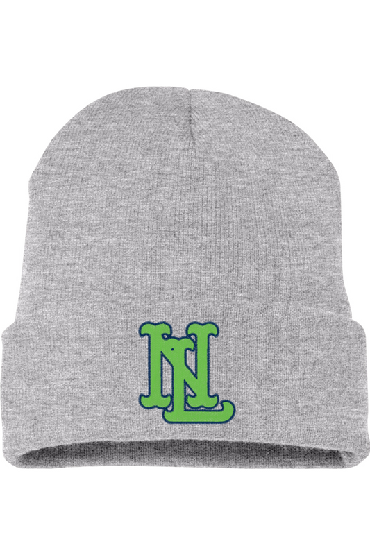 Northern Lights Cuffed Beanie