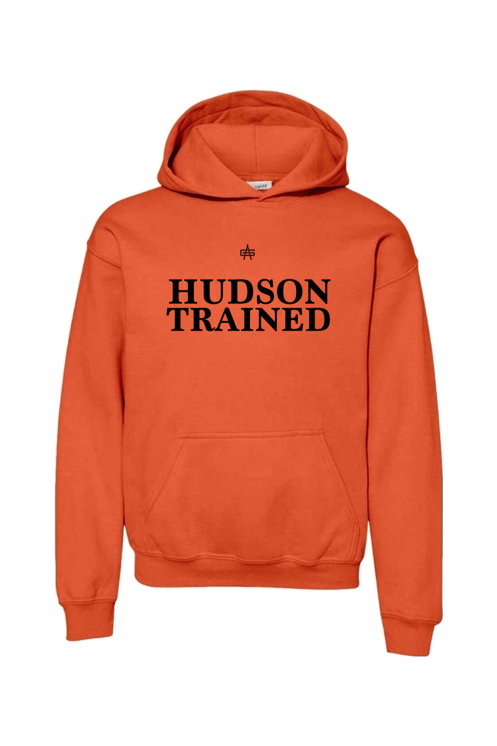 Hudson Trained DTF Youth Heavy Blend Hooded Sweatshirt