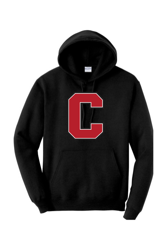 Canton Wrestling DTF Heavy Blend Hooded Sweatshirt