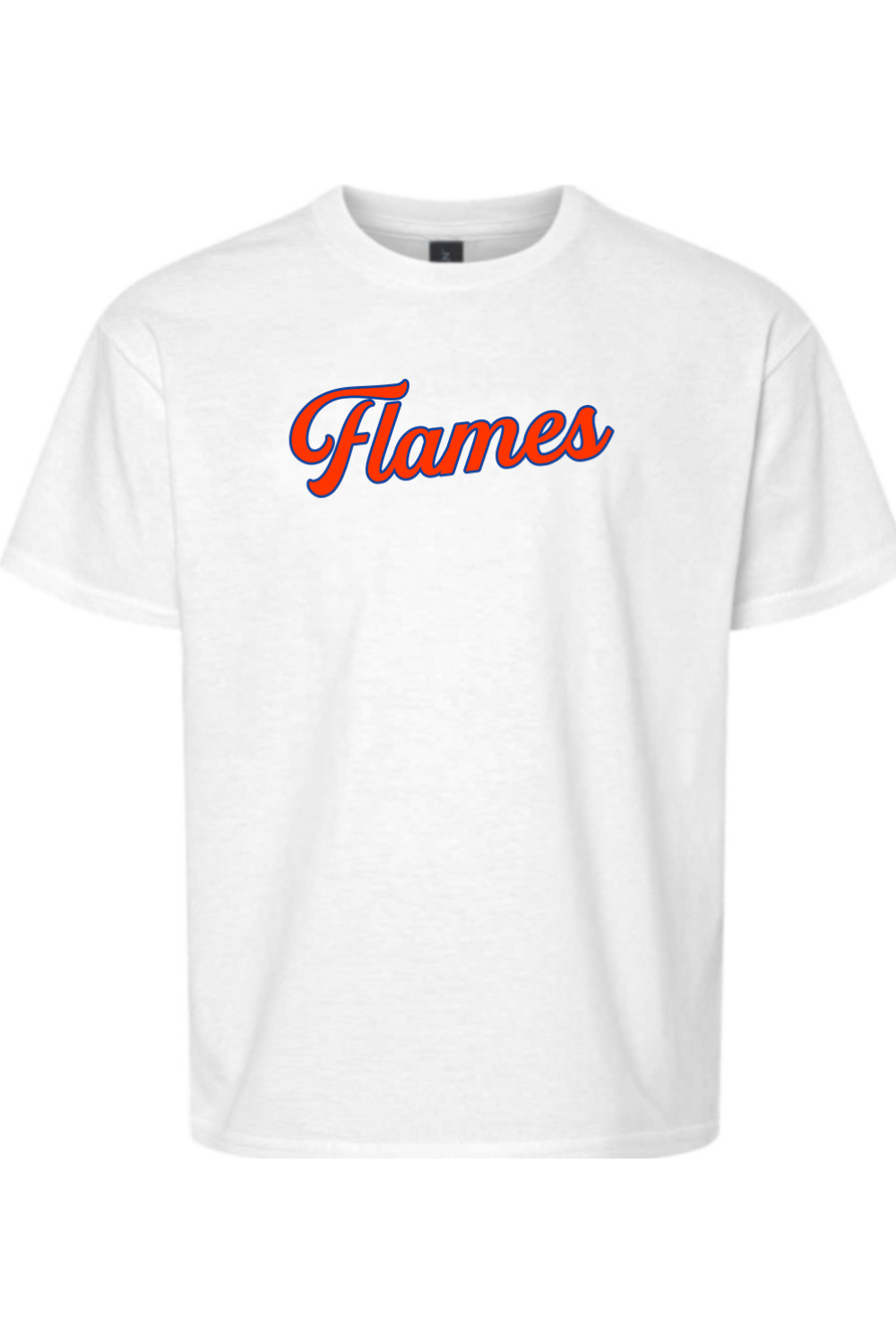 Flames MI Team DTF Youth Softstyle T-Shirt