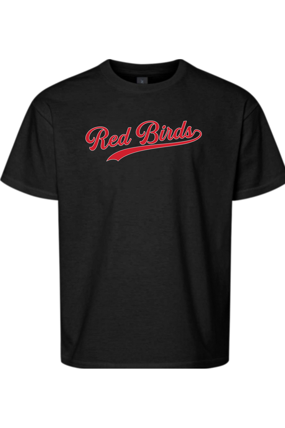 Marion Redbirds Baseball DTF Youth Softstyle T-Shirt