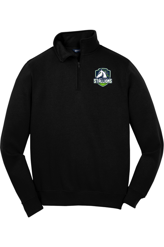 Spa City Stallions DTF 1/4-Zip Sweatshirt