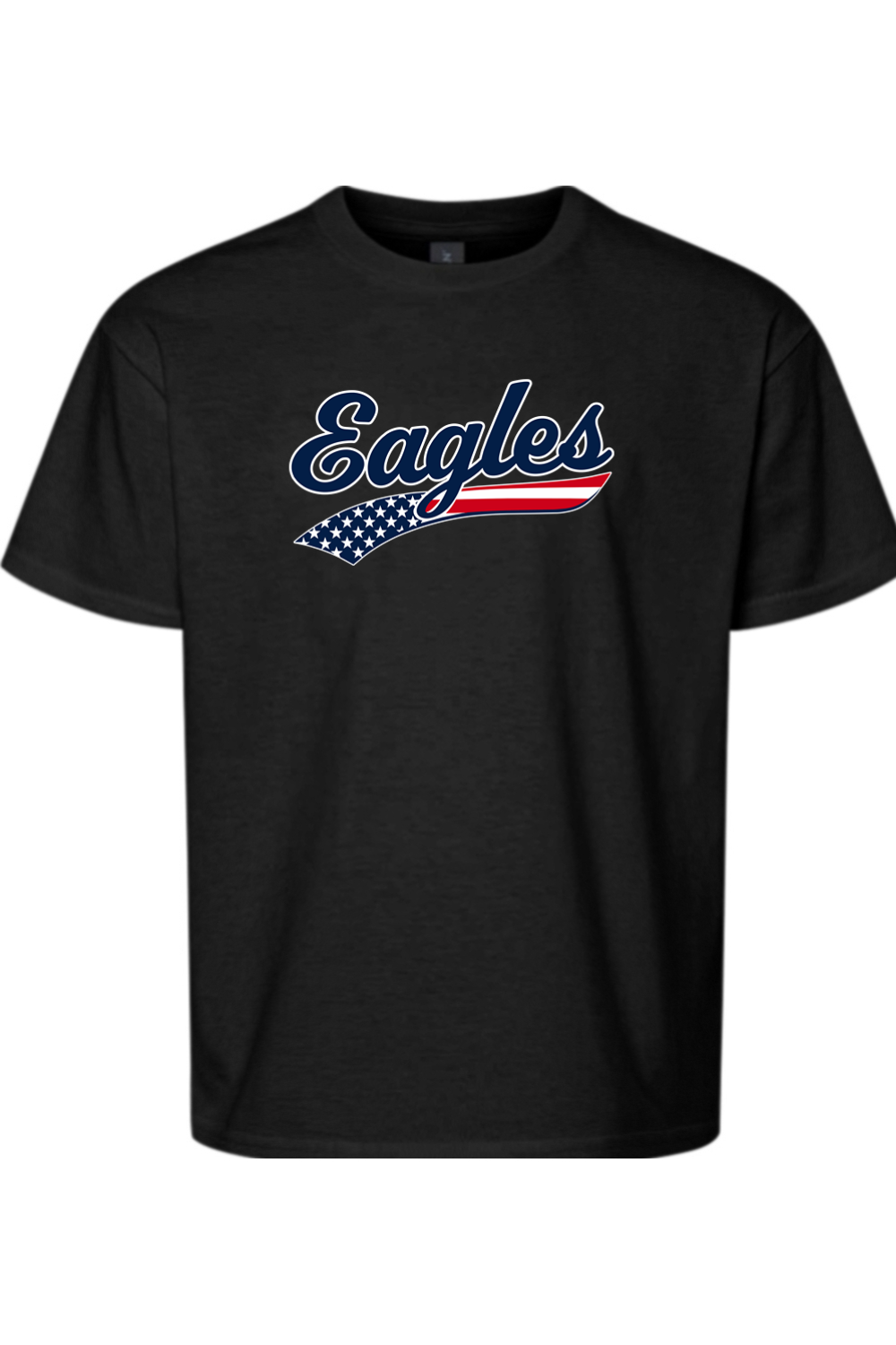 Watervliet Eagles Baseball DTF Youth Softstyle T-Shirt