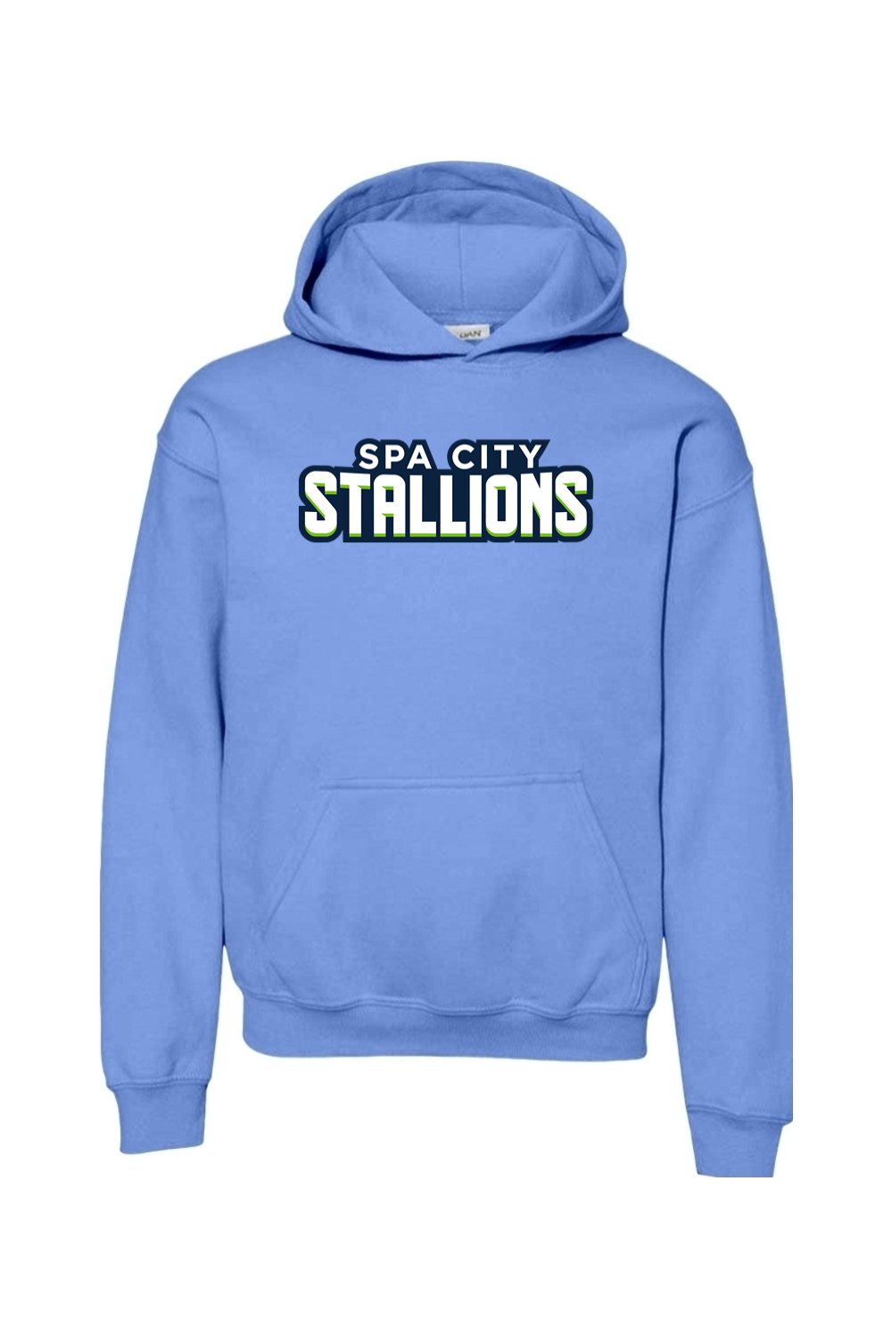 Spa City Stallions DTF Youth Heavy Blend Hooded Sweatshirt