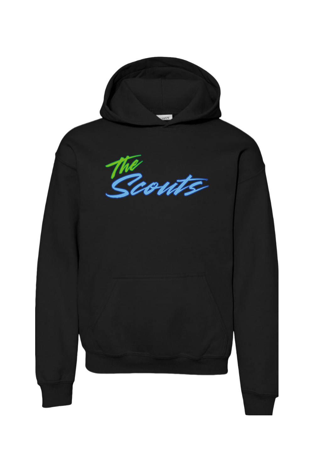 CF Scouts Baseball DTF Youth Heavy Blend Hooded Sweatshirt