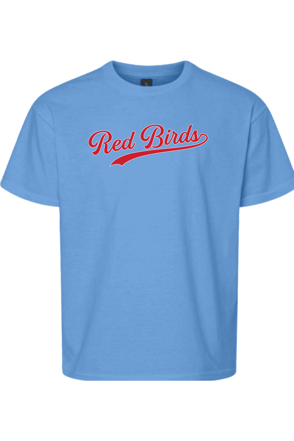Marion Redbirds Baseball DTF Youth Softstyle T-Shirt