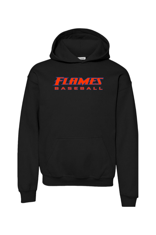 Flames MI Baseball DTF Youth Heavy Blend Hooded Sweatshirt