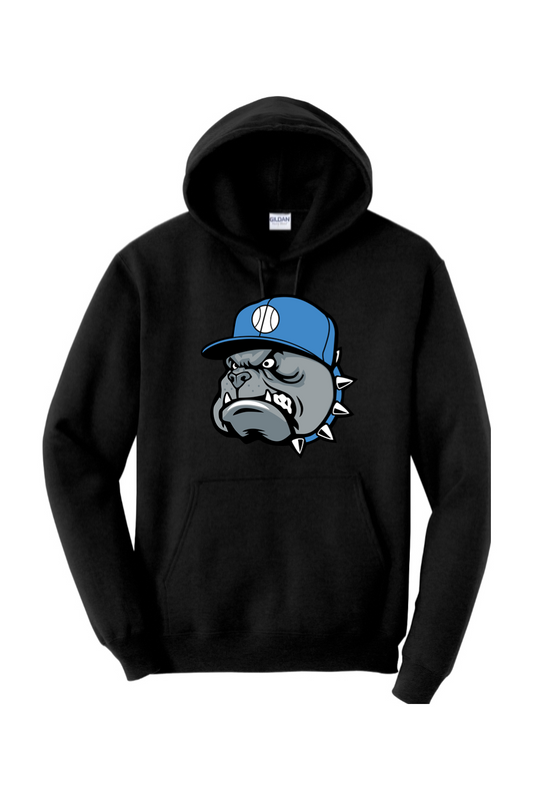 Central Florida Studs Heavy Blend Hooded Sweatshirt
