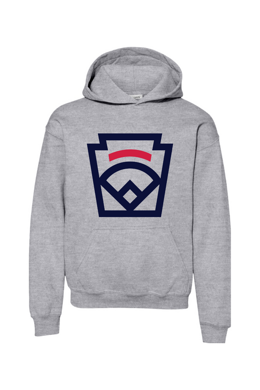 Little League Youth Heavy Blend Hoodie