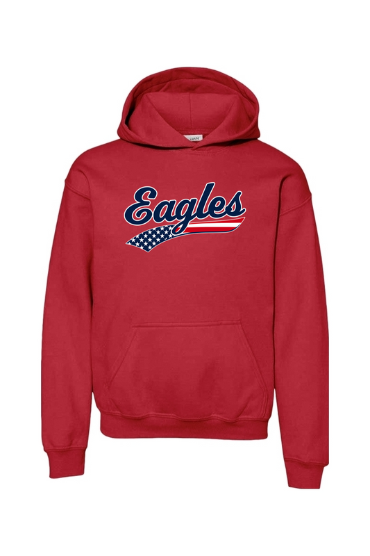 Watervliet Eagles Baseball DTF Youth Heavy Blend Hooded Sweatshirt