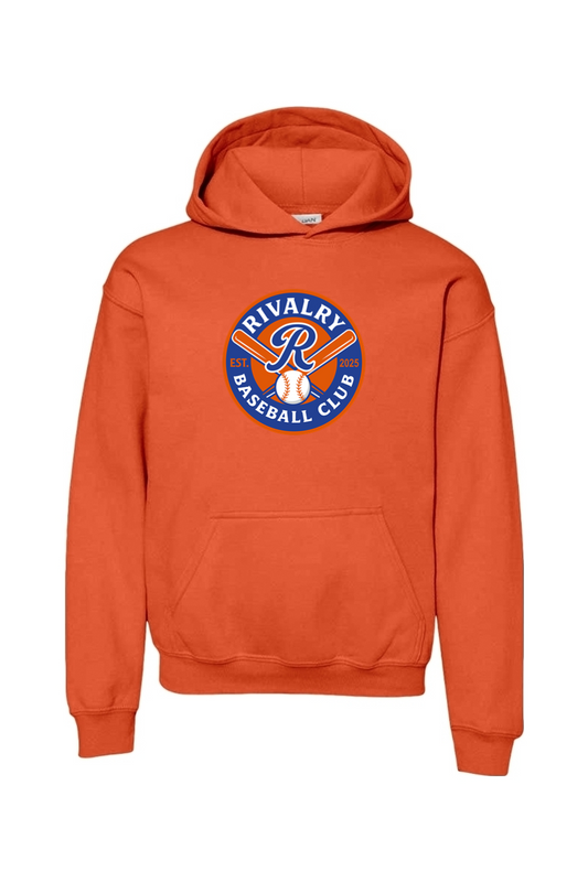 Rivalry Baseball DTF Youth Heavy Blend Hooded Sweatshirt