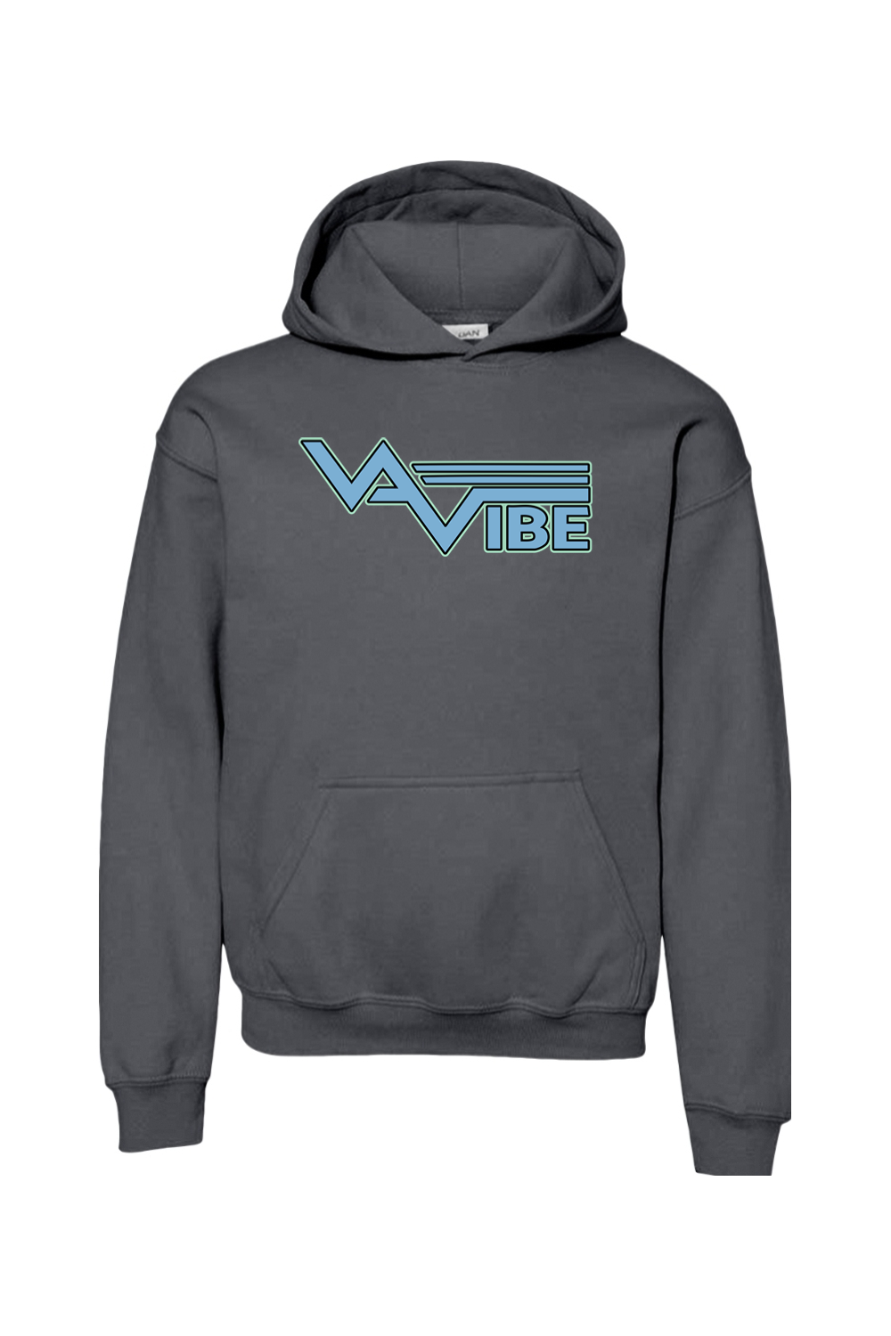 VA Vibe Softball DTF Youth Heavy Blend Hooded Sweatshirt