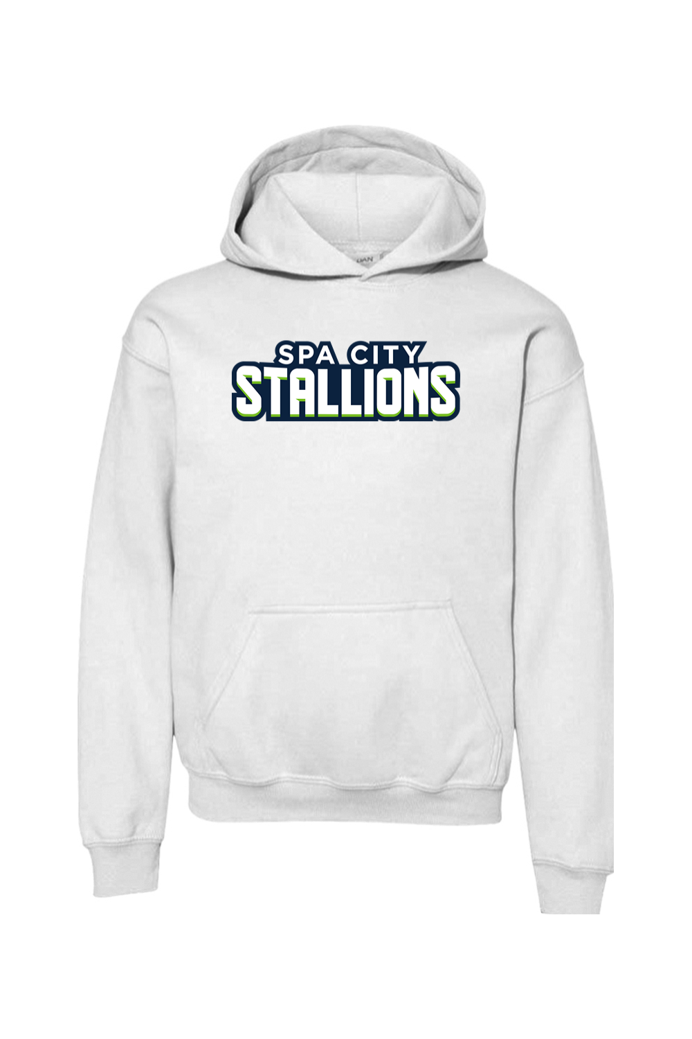 Spa City Stallions DTF Youth Heavy Blend Hooded Sweatshirt