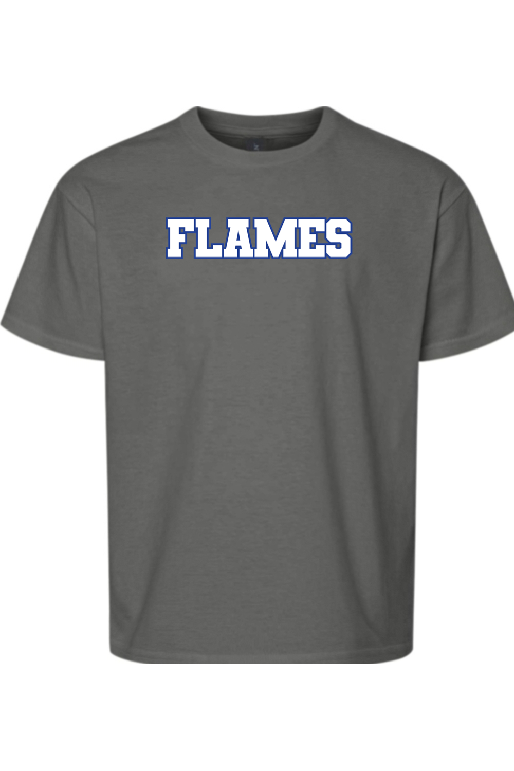 Flames MI Team DTF Youth Softstyle T-Shirt