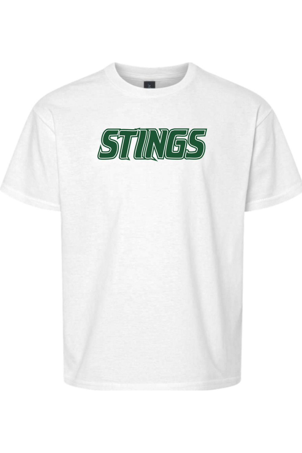 Williamston Stings Youth Softstyle T-Shirt