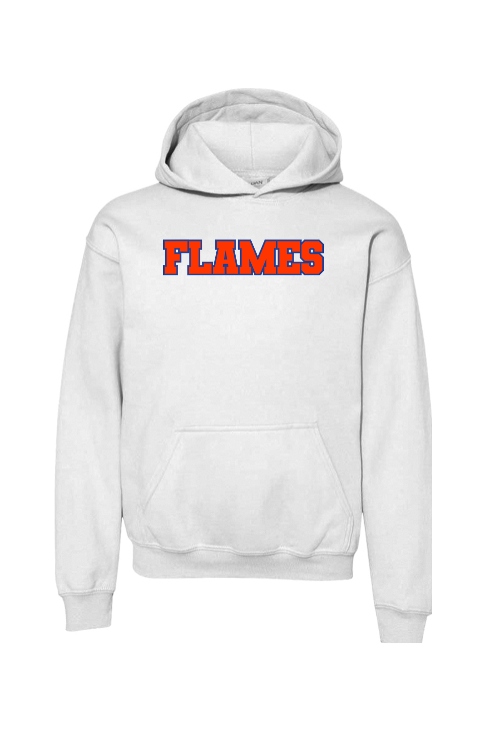 Flames MI Team DTF Youth Heavy Blend Hooded Sweatshirt