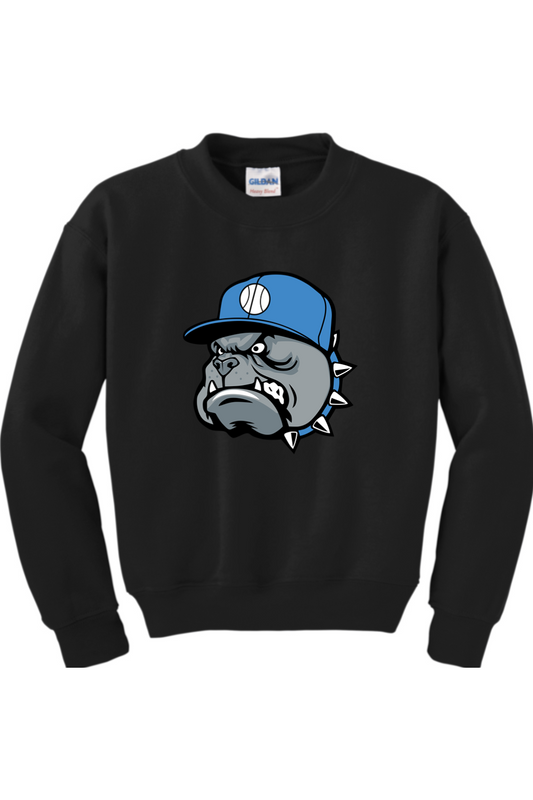 Central Florida Studs Youth Heavy Blend Crewneck Sweatshirt