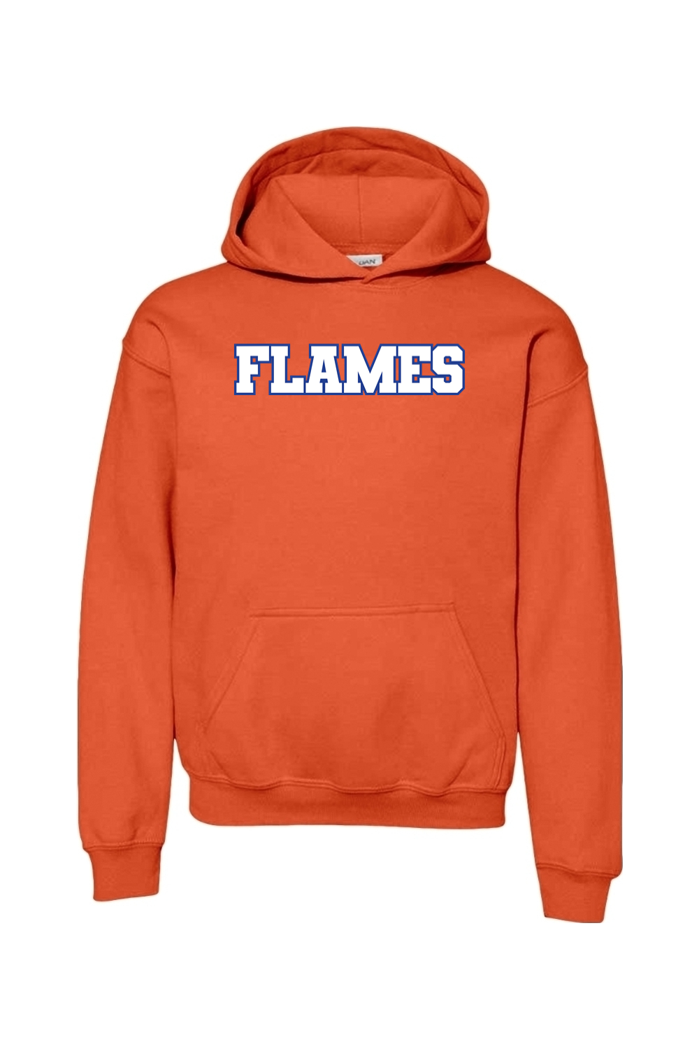 Flames MI Team DTF Youth Heavy Blend Hooded Sweatshirt