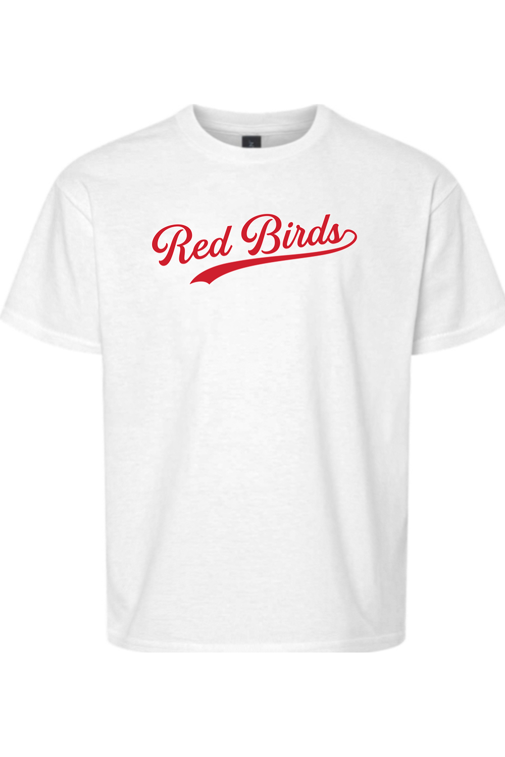 Marion Redbirds Baseball DTF Youth Softstyle T-Shirt