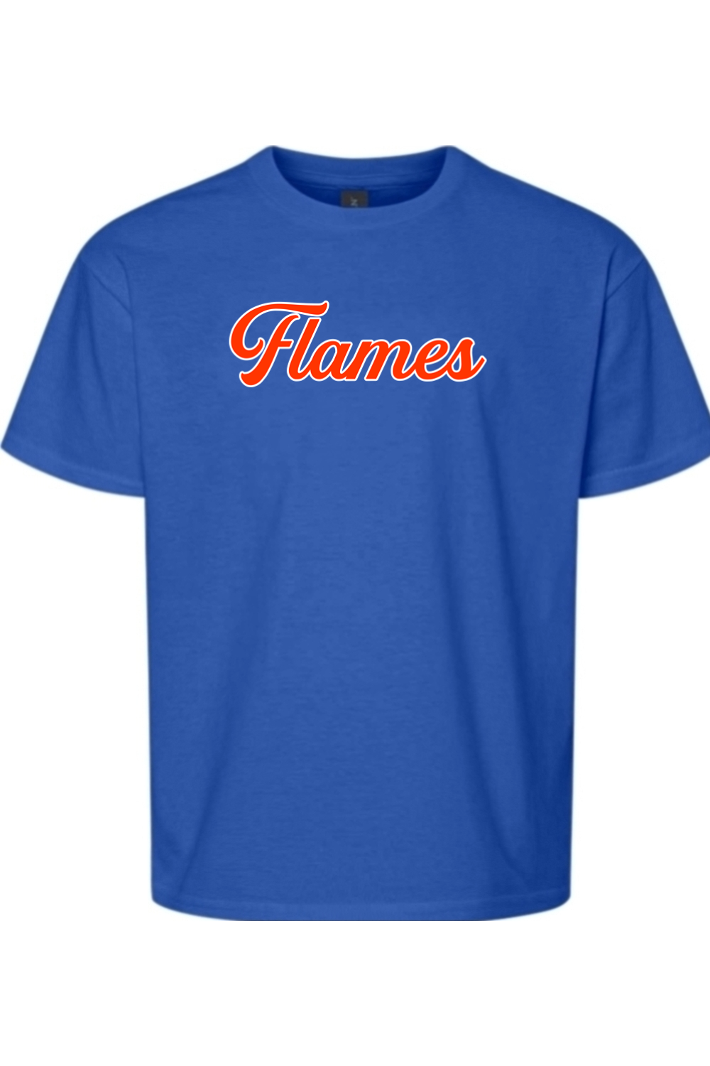 Flames MI Team DTF Youth Softstyle T-Shirt