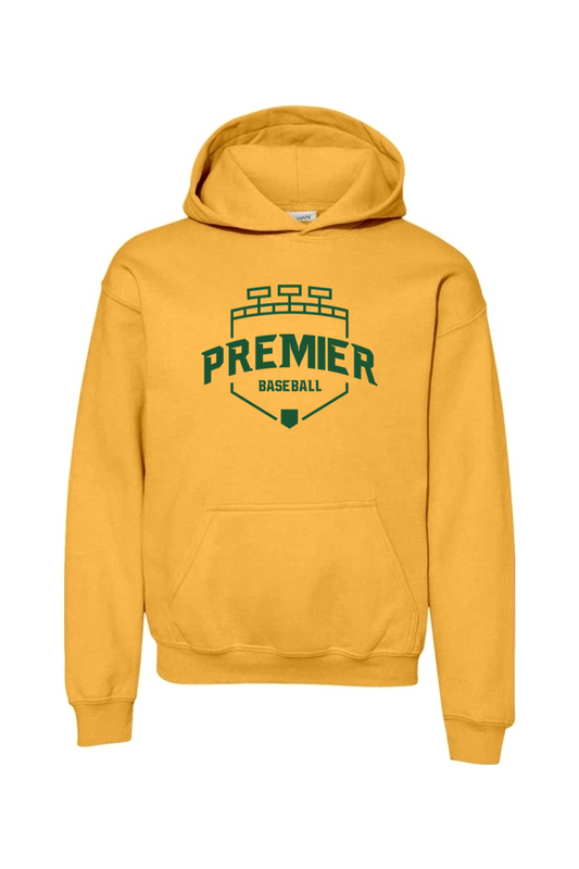 Premier Baseball OR Youth Hooded Sweatshirt - Green Logo