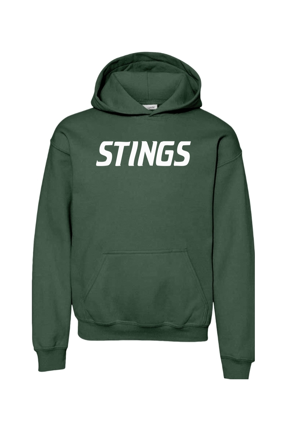 Williamston Stings Youth Heavy Blend Hooded Sweatshirt