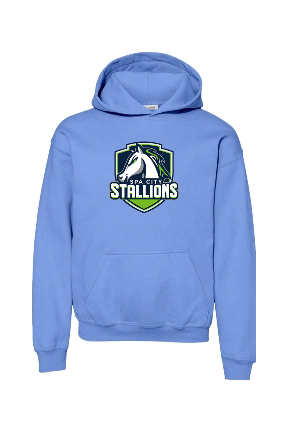 Spa City Stallions DTF Youth Heavy Blend Hooded Sweatshirt