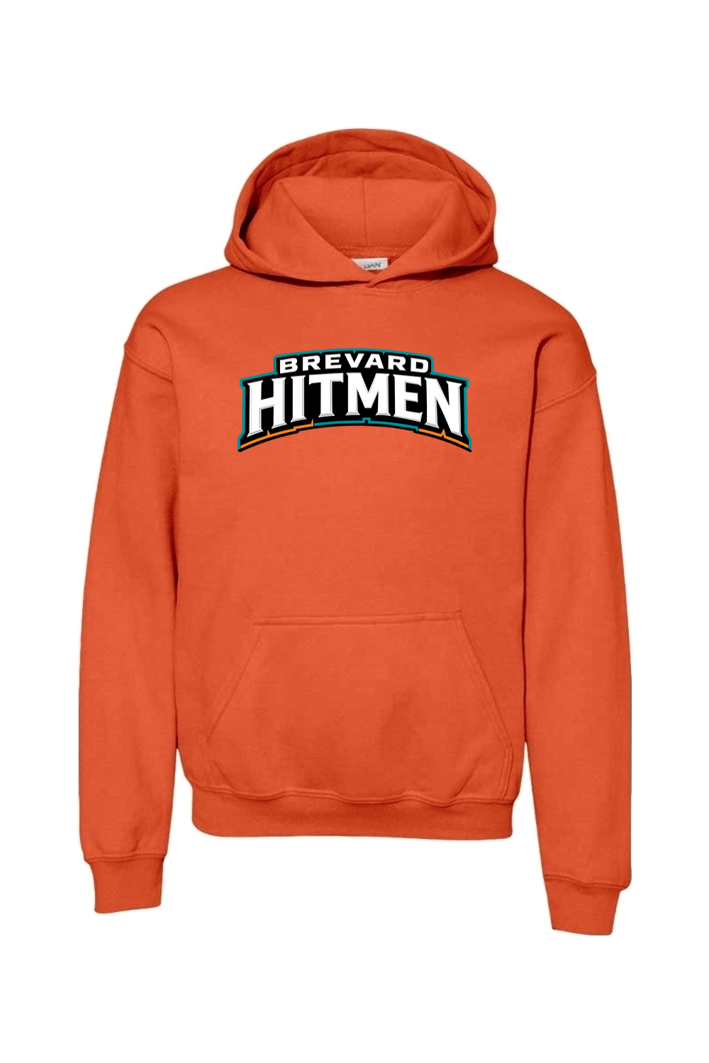Brevard Hitmen DTF Youth Heavy Blend Hooded Sweatshirt