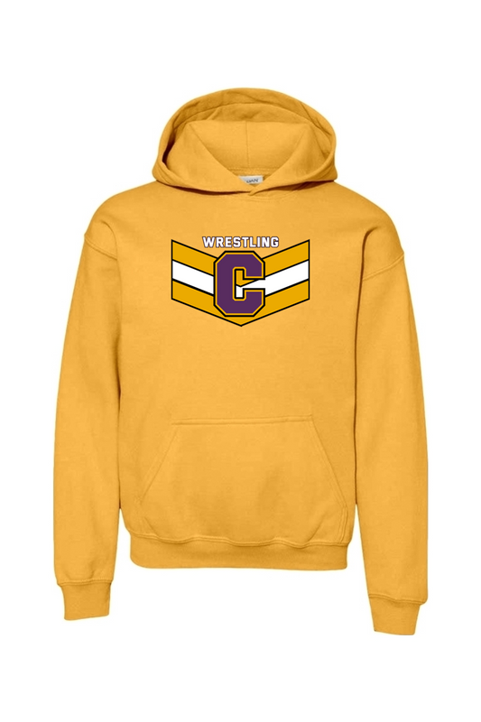 Caro Wrestling DTF Youth Heavy Blend Hooded Sweatshirt