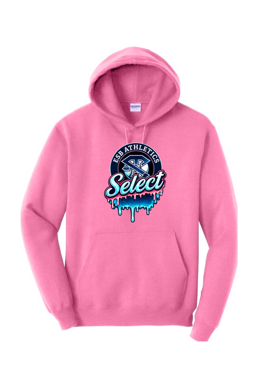 ESB Athletics Heavy Blend Hooded Sweatshirt