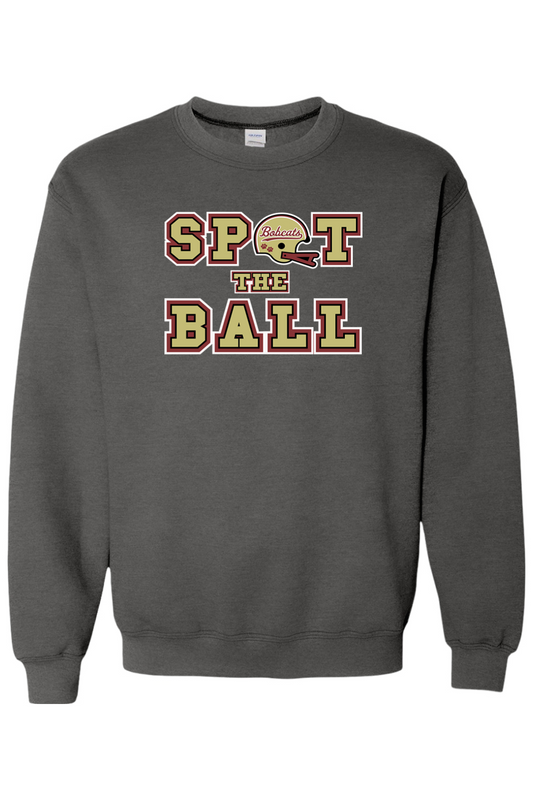 Brandywine Football DTF Heavy Blend Crewneck Sweatshirt