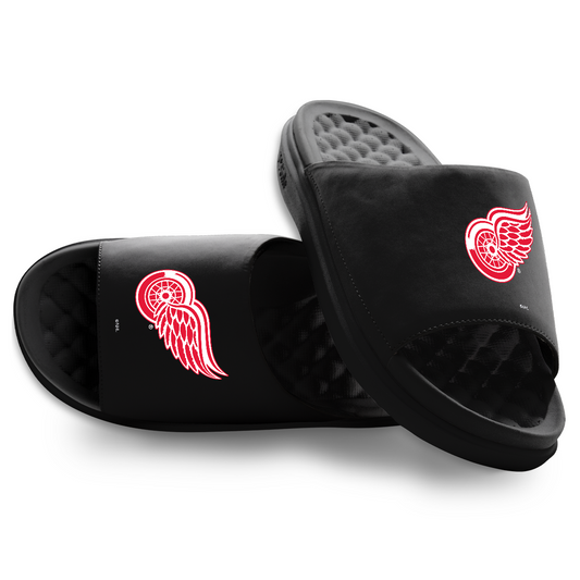 Detroit Red Wings Primary Motive