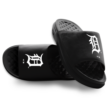Detroit Tigers Primary Motive