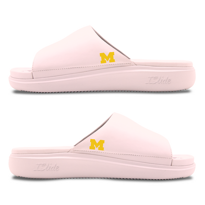 Michigan Wolverines Minimalistic Motive