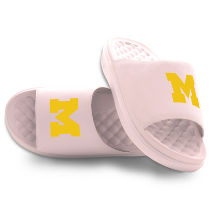 Michigan Wolverines Primary Motive