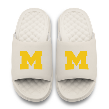 Michigan Wolverines Primary Motive