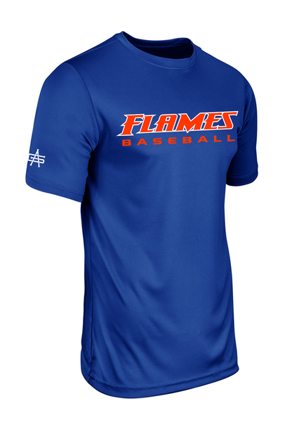 Flames MI Baseball Vision Tee DTF Jersey