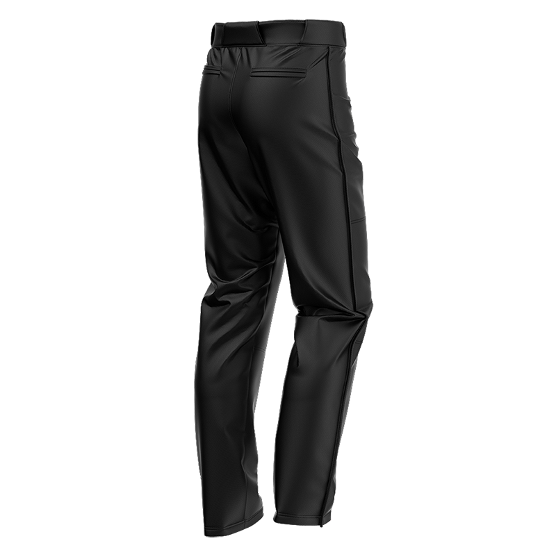 Williamston Stings Sublimated Baseball Pants