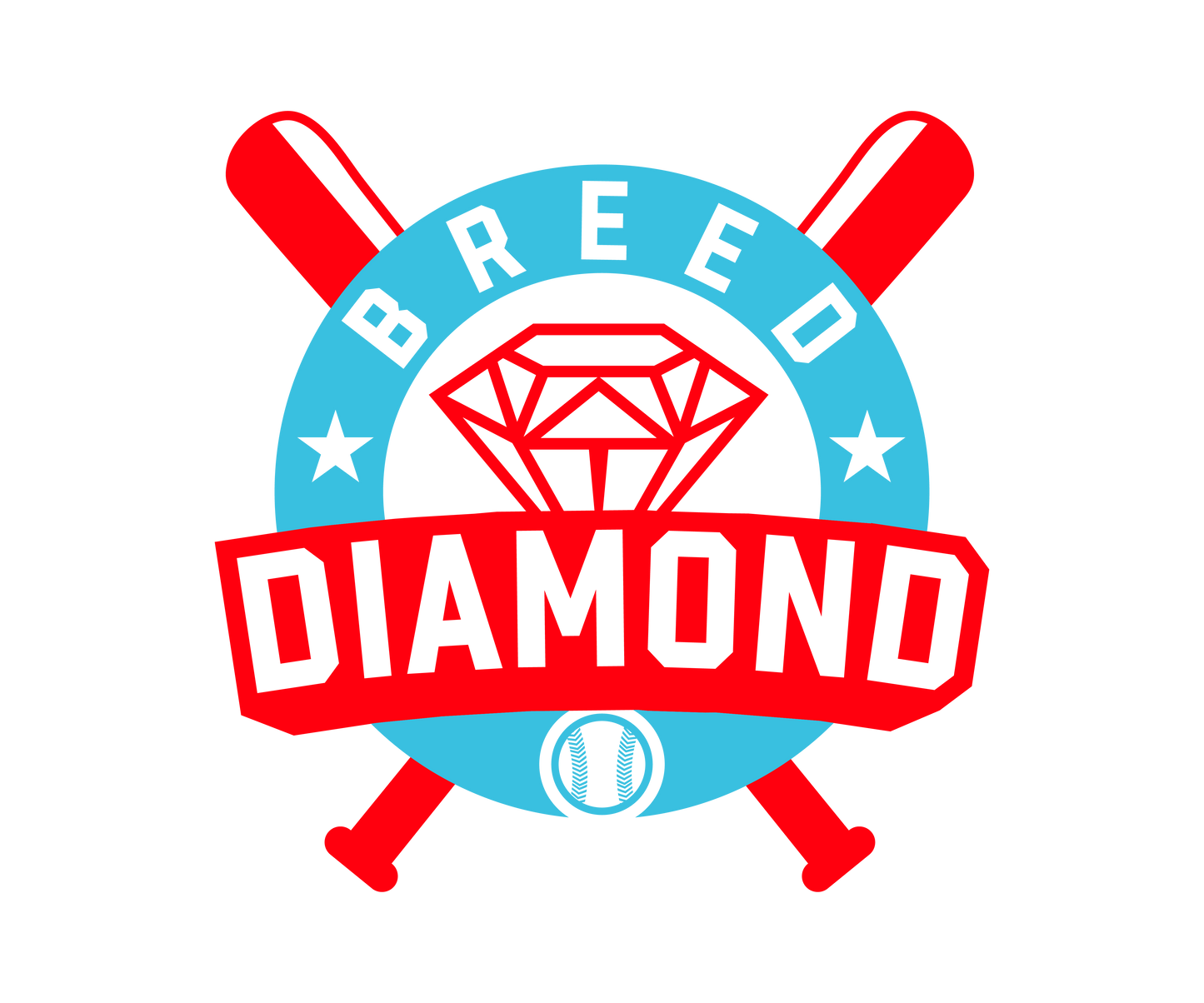 Diamond Breed Baseball Uniform Player Package