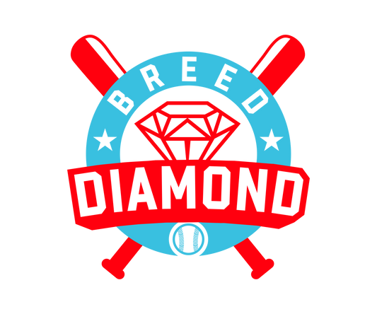 Diamond Breed Baseball Uniform Player Package