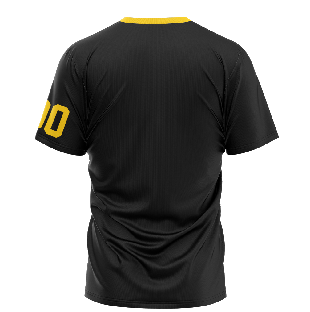 Scottsdale Vipers Baseball Coach Jersey