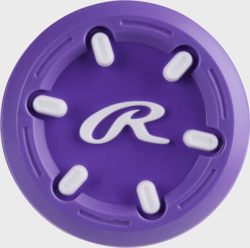 Rawlings Eclipse Fastpitch Softball Bat -12