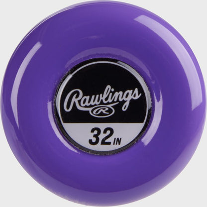 Rawlings Eclipse Fastpitch Softball Bat -12