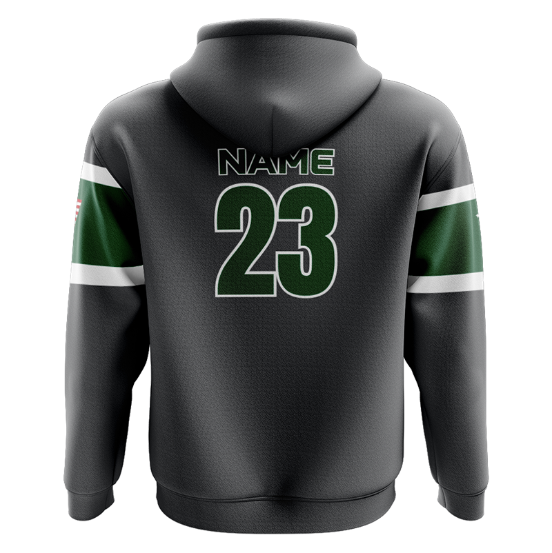 Williamston Stings Baseball Performance Hoodie