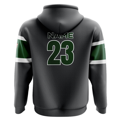 Williamston Stings Baseball Performance Hoodie